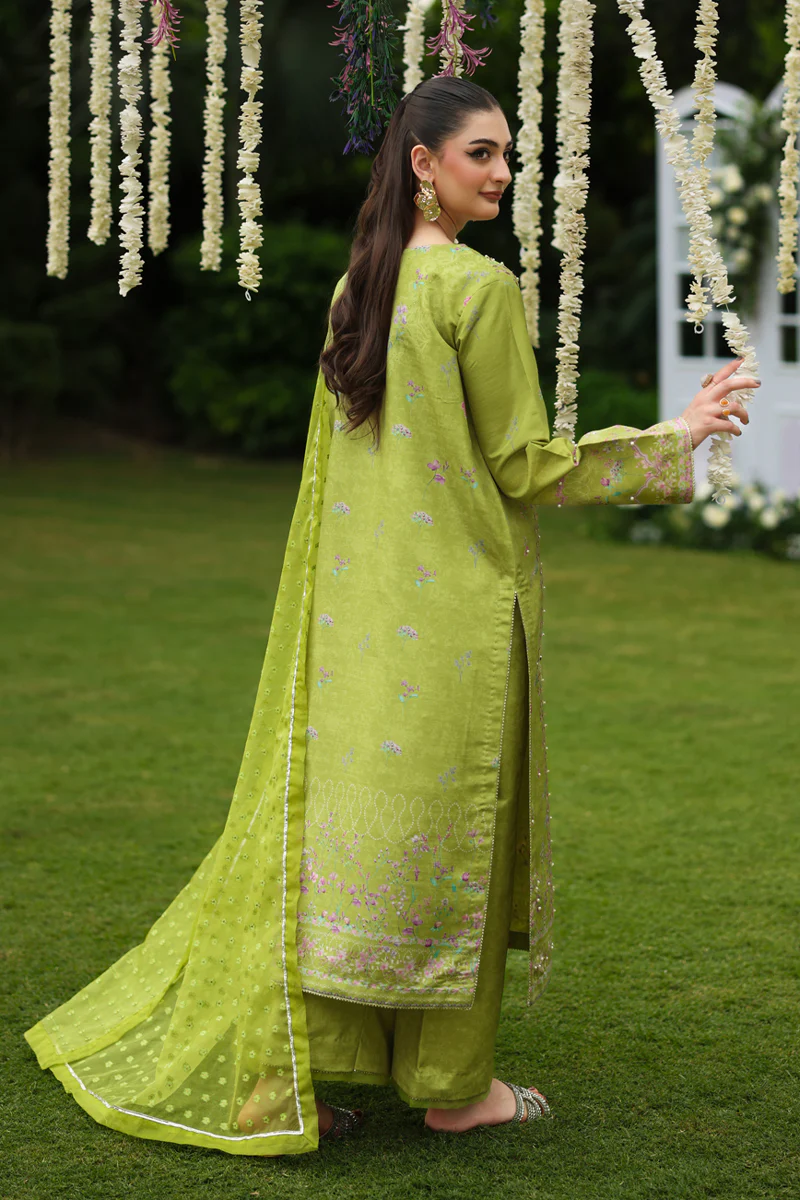 Rang Rasiya Luxe Silk Collection 2025 | RADIN