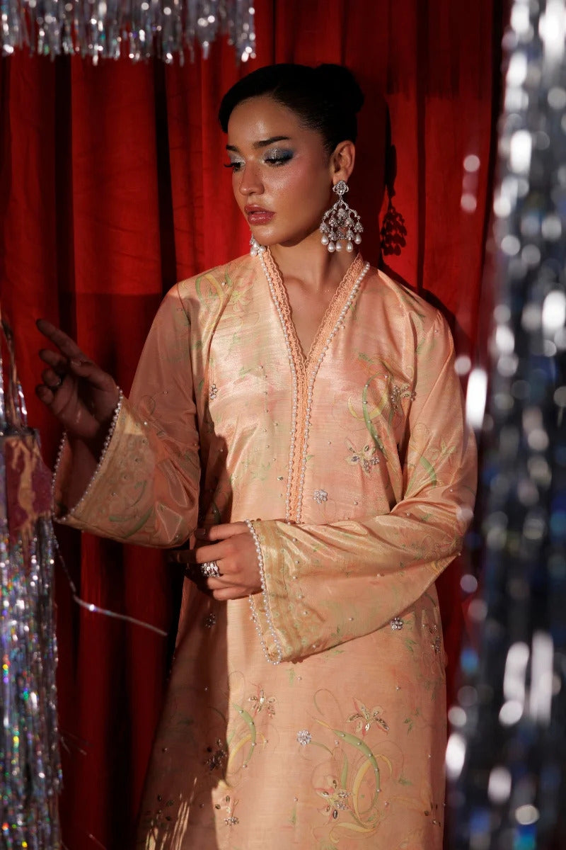 Rang Rasiya Luxe Silk 2026 | ELOIRE