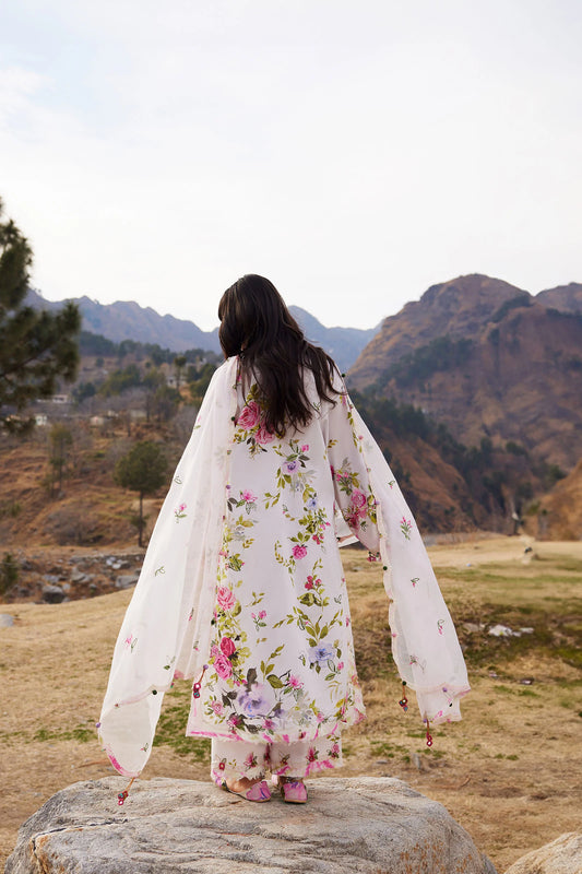 Zaha Lawn 2026 | ZL26-11 A