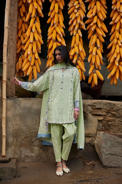 Zaha Lawn 2026 | ZL26-02 A