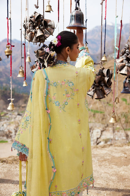 Zaha Lawn 2026 | ZL26-01 A