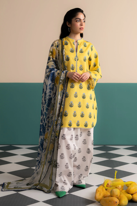COCO Prints Vol-03 by Zara Shahjahan 2025 | ZOFI-04A