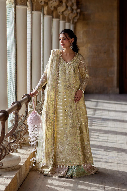 Dastangoi by Afrozeh Wedding Formals 2026 | AFSAAN