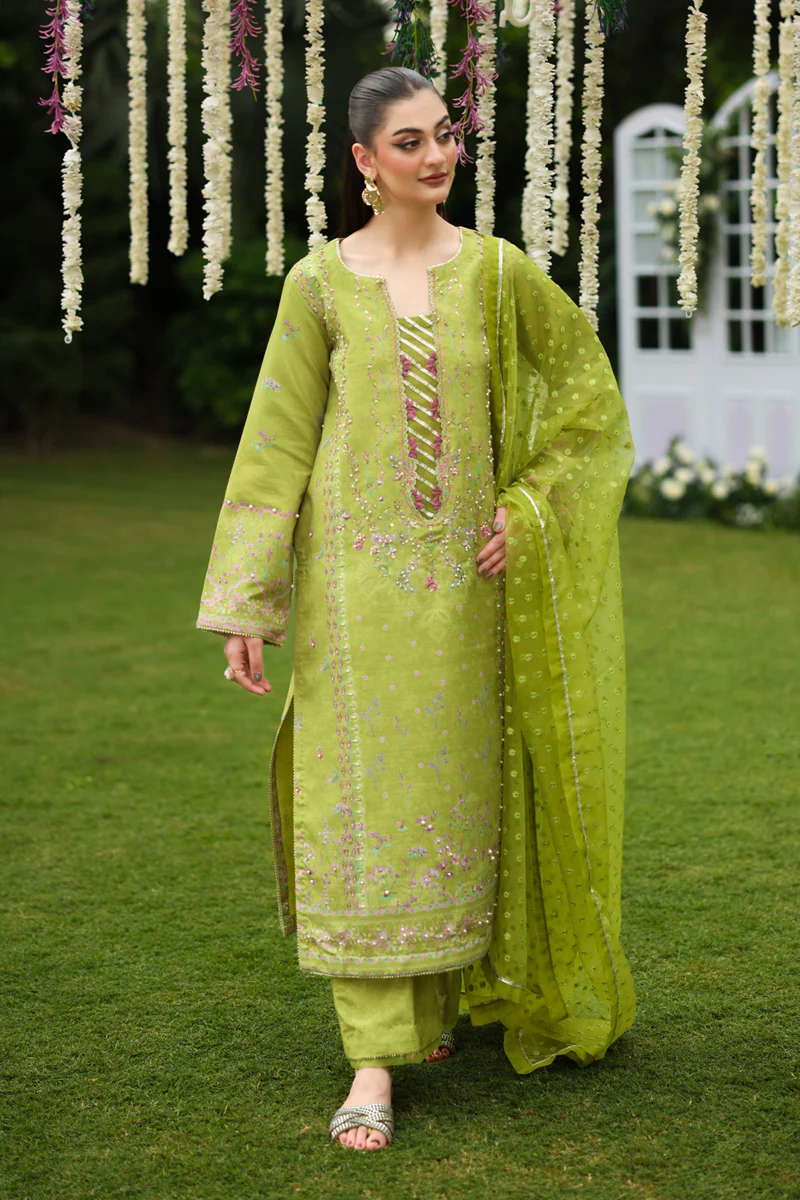 Rang Rasiya Luxe Silk Collection 2025 | RADIN
