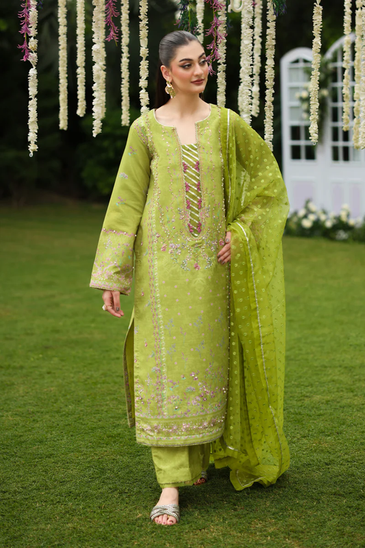 Rang Rasiya Luxe Silk Collection 2025 | RADIN