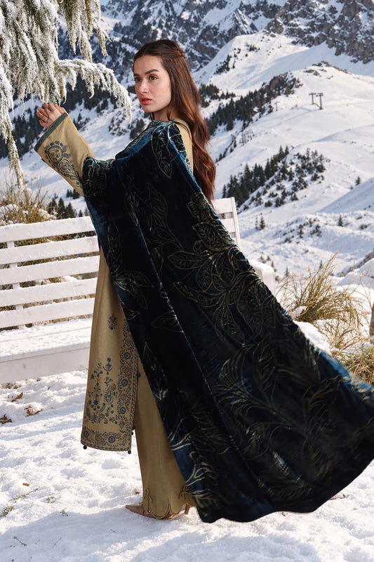 Rang Rasiya Winter Carnation 2026 | OLIVINE