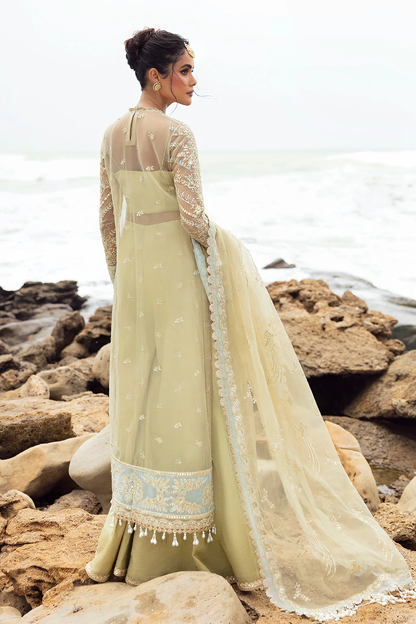 Dastangoi by Afrozeh Wedding formals | D-09