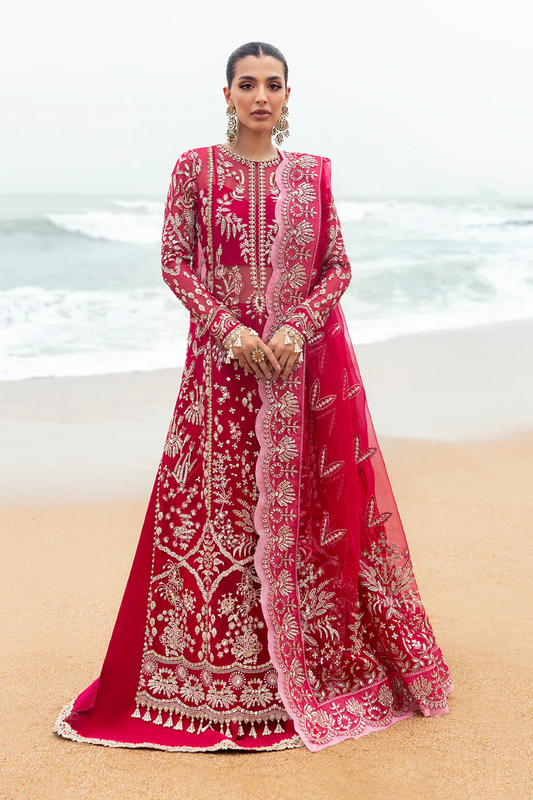 Dastangoi by Afrozeh Wedding formals | D-04