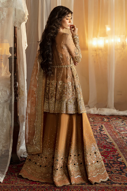 Afrozeh Hayat'24 Wedding Collection | NOORAY