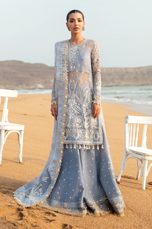 Dastangoi by Afrozeh Wedding formals | D-01