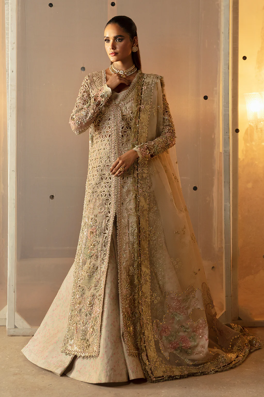 Afrozeh Hayat'24 Wedding Collection | ANIQA