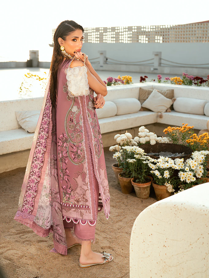 Jade Needle Wonder 2026 | 26-NW-20941