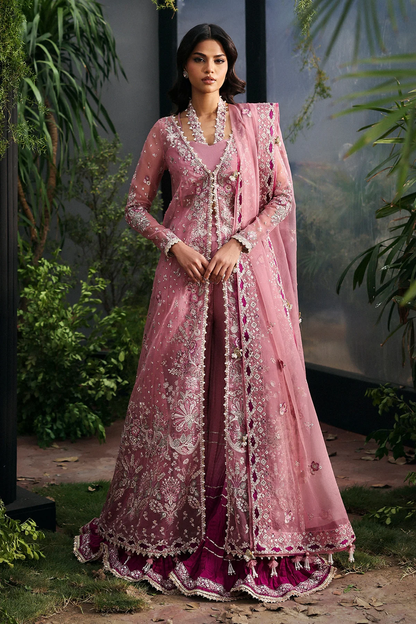 Afrozeh La Fuchsia'25 Party Collection | SERAIRA