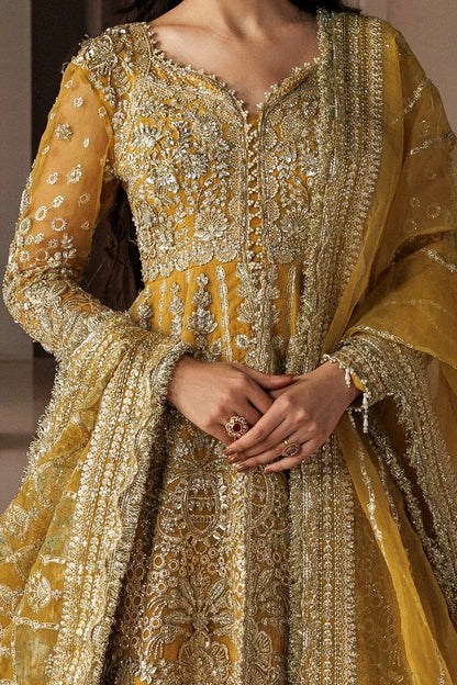 Afrozeh Shehnai Wedding Formals 2026 | AYLIN