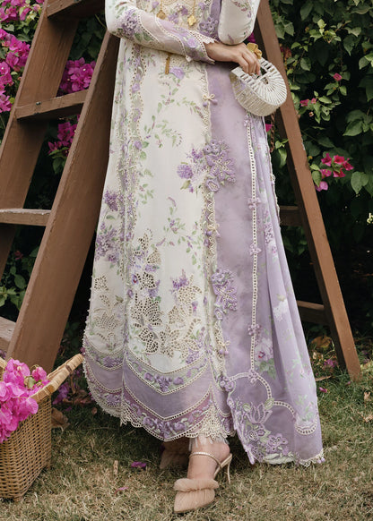Crimson Tasawar Lavender Fall - D5B