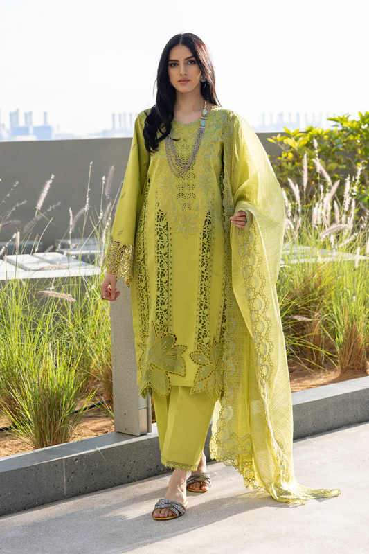 Rang Rasiya Carnation Embroidered Lawn 2025 | AALEEN