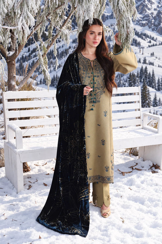 Rang Rasiya Winter Carnation 2026 | OLIVINE