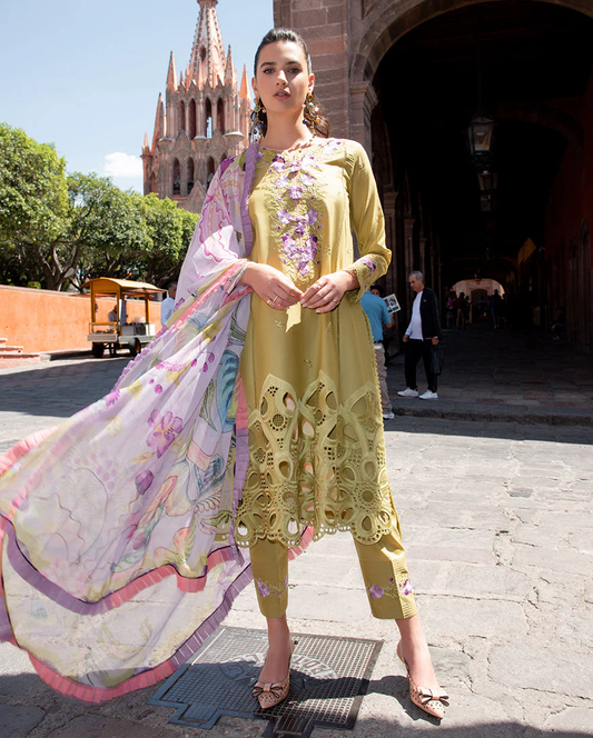 Mushq Odyssey | Lawn 2026 | ARANZA