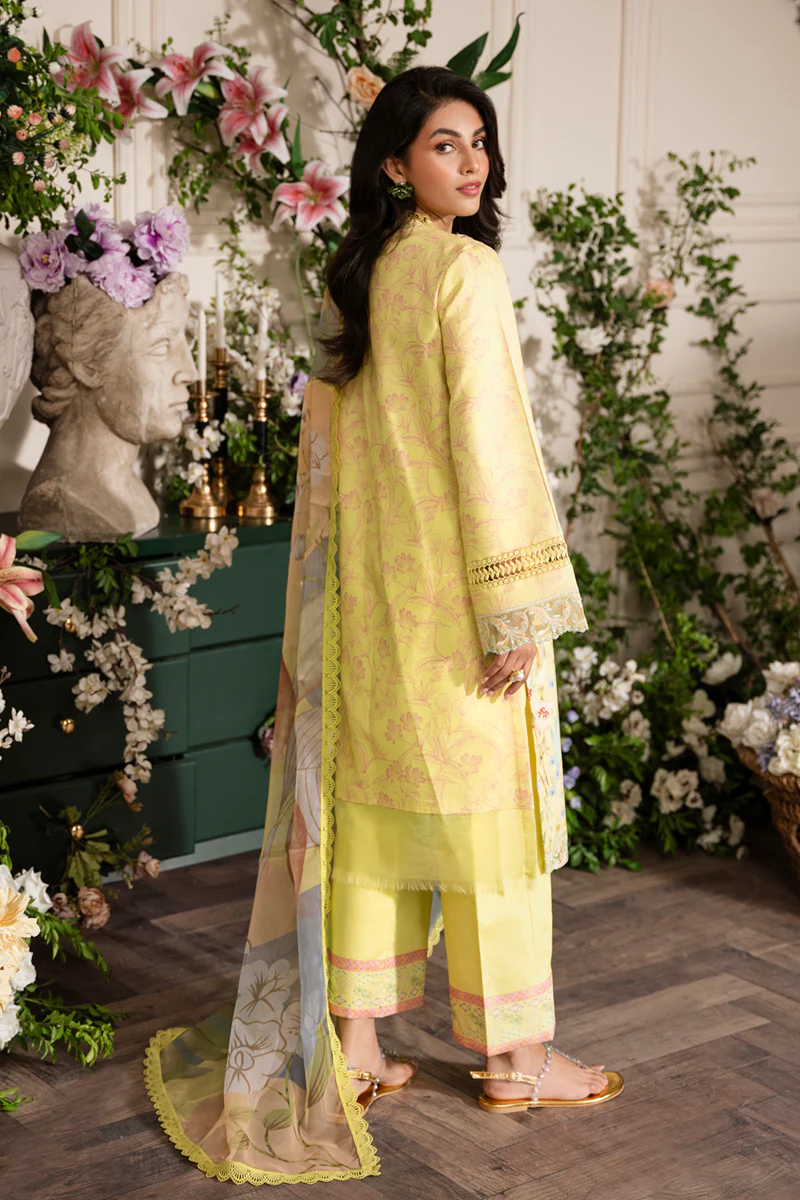 Lifestyle Embroidered Edit'24 by Rang Rasiya | SUN KISSED