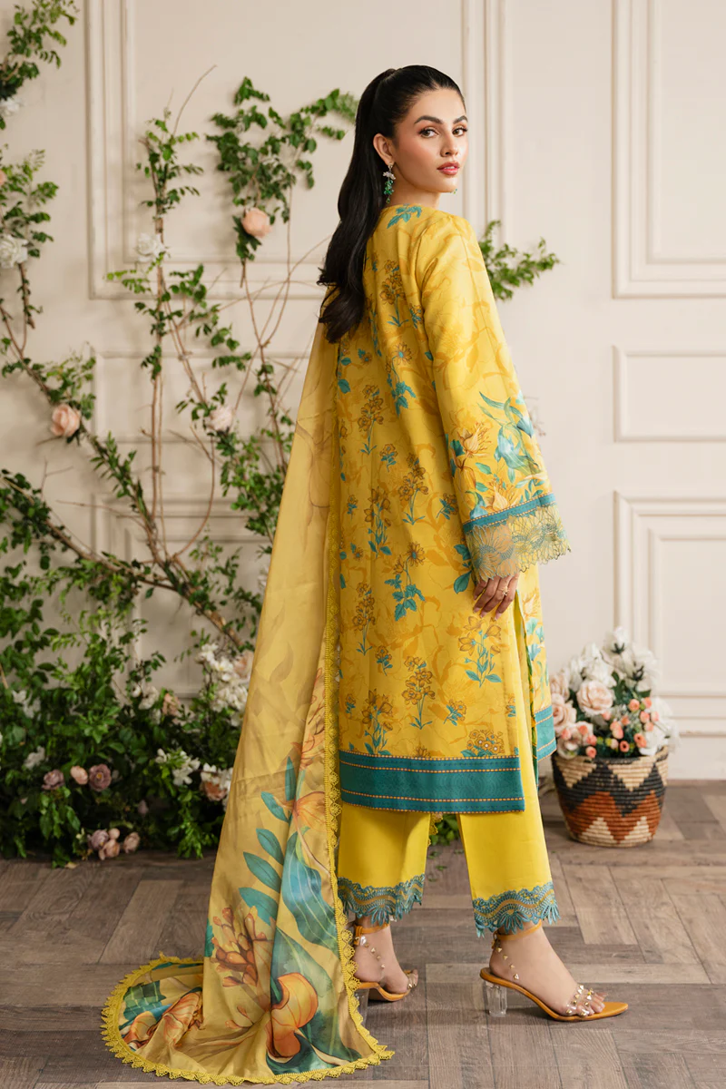 Lifestyle Embroidered Edit'24 by Rang Rasiya | SERENA