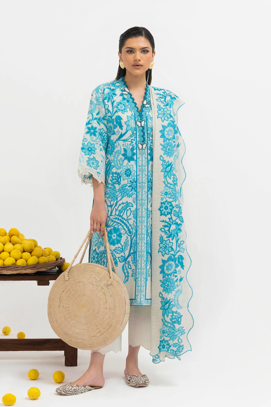 Sana Safinaz Mahay Winter 2025 | H225-002B-2BQ