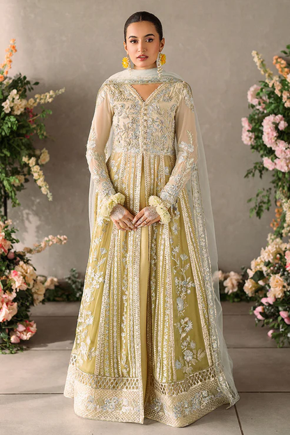 Mastani Evening Luxury Chiffon Collection 2024 | HIRA