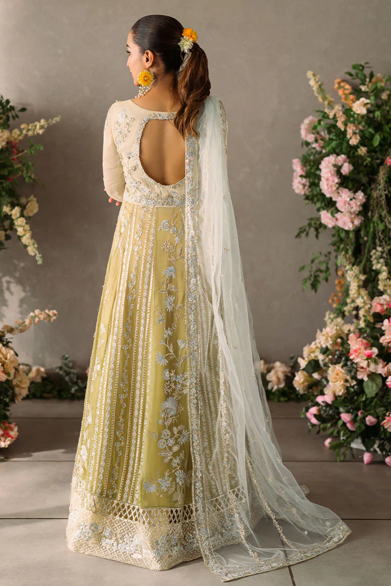 Mastani Evening Luxury Chiffon Collection 2024 | HIRA