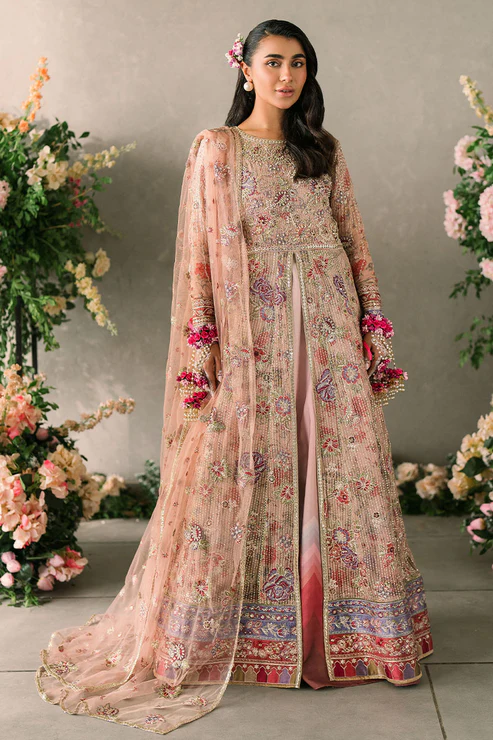 Mastani Evening Luxury Chiffon Collection 2024 | SONA