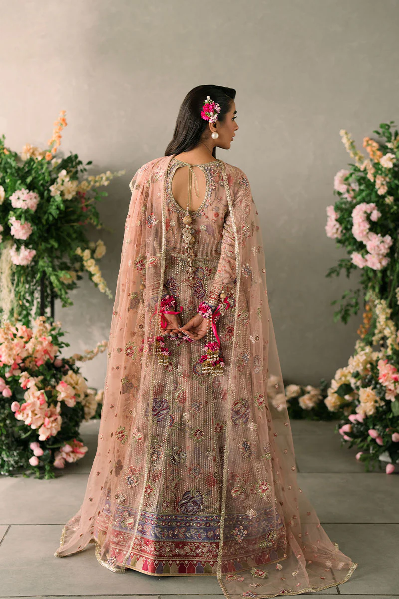 Mastani Evening Luxury Chiffon Collection 2024 | SONA