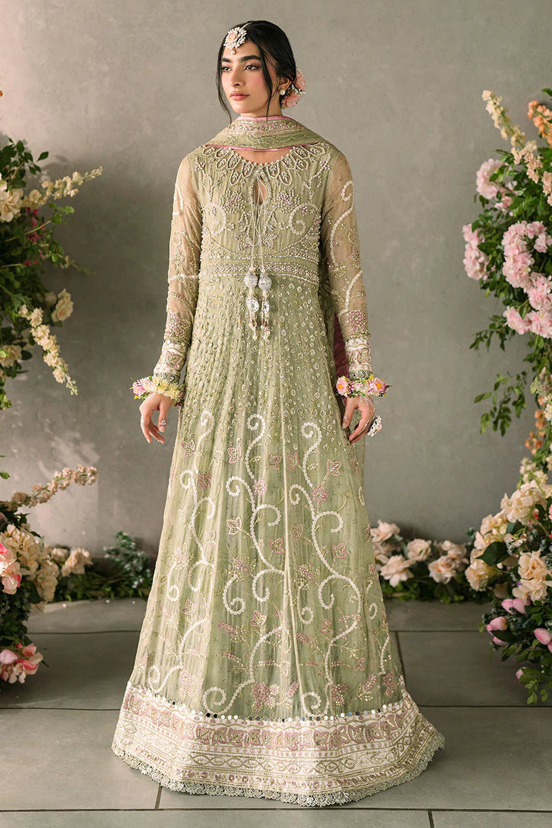 Mastani Evening Luxury Chiffon Collection 2024