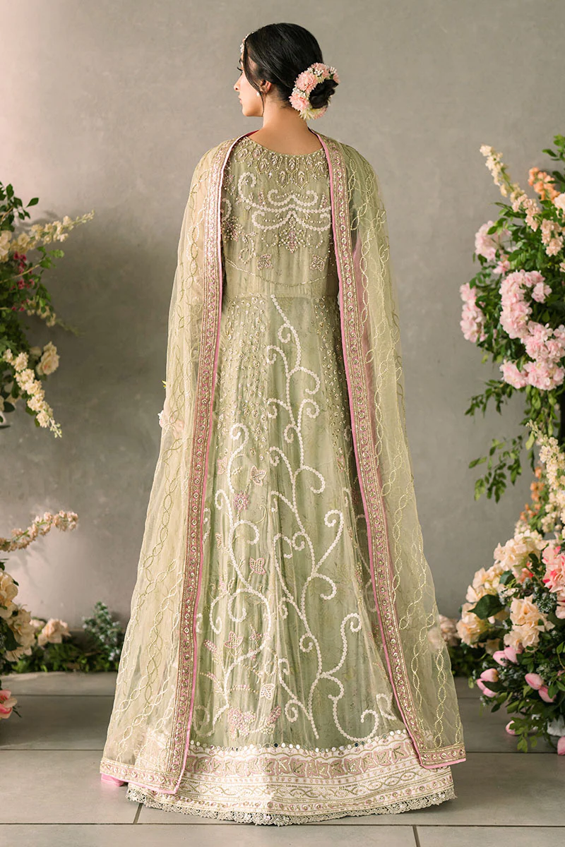 Mastani Evening Luxury Chiffon Collection 2024