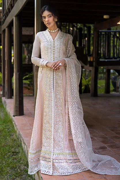 Mushq Roohi Party Wear Collection | ANIKA