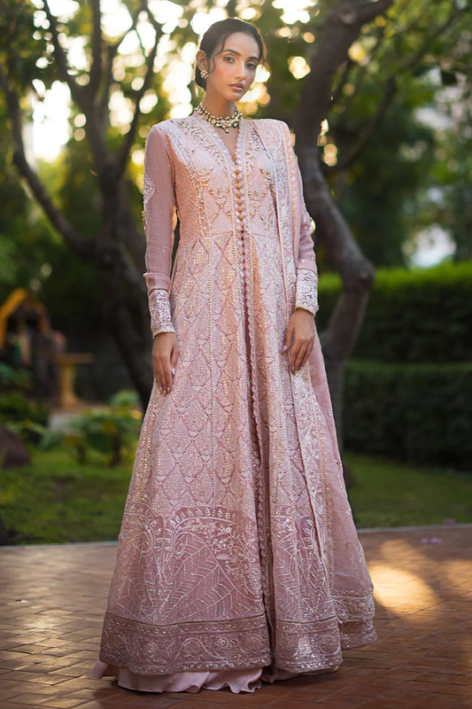 Mushq Roohi Party Wear Collection | AANYA