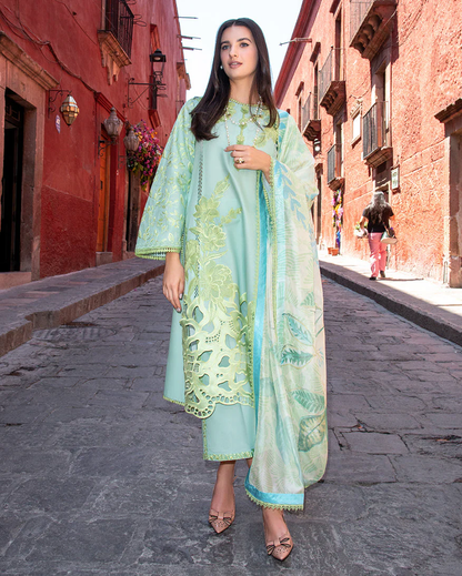 Mushq Odyssey | Lawn 2026 | PALOMA