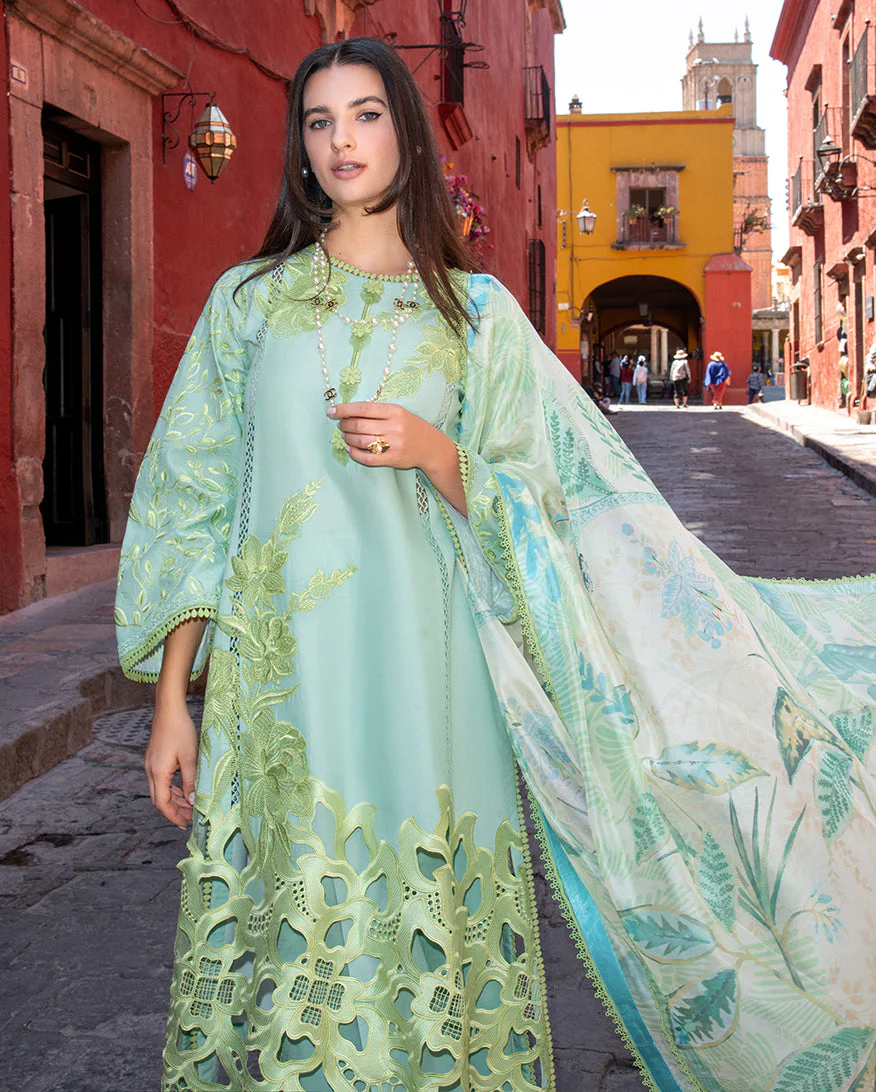 Mushq Odyssey | Lawn 2026 | PALOMA