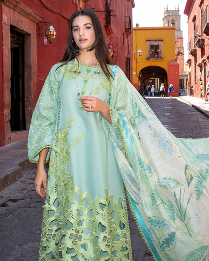 Mushq Odyssey | Lawn 2026 | PALOMA