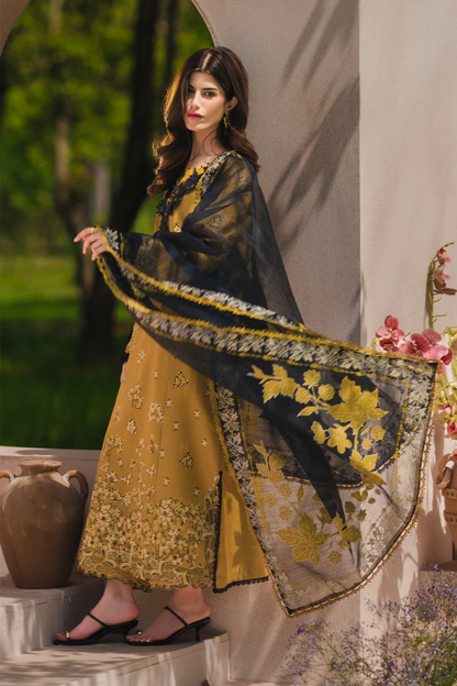 Rangrasiya Premium Luxury EID Collection 2026 | MAHI