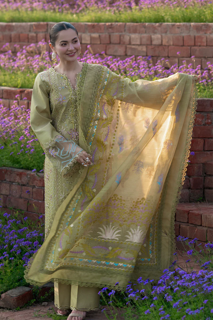 Rangrasiya Premium Luxury EID Collection 2026 | RAHA