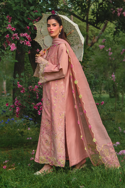 Rangrasiya Premium Luxury EID Collection 2026 | RANIA
