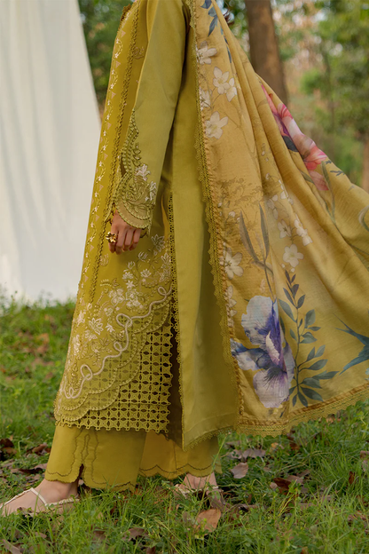 Rangrasiya Premium Luxury EID Collection 2026 | HAYA