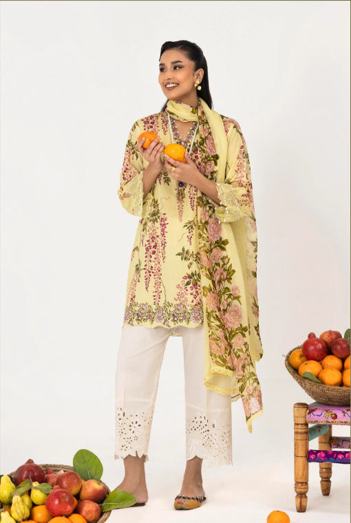 Sana Safinaz Mahay Spring 2026 | H261-007B-2BI