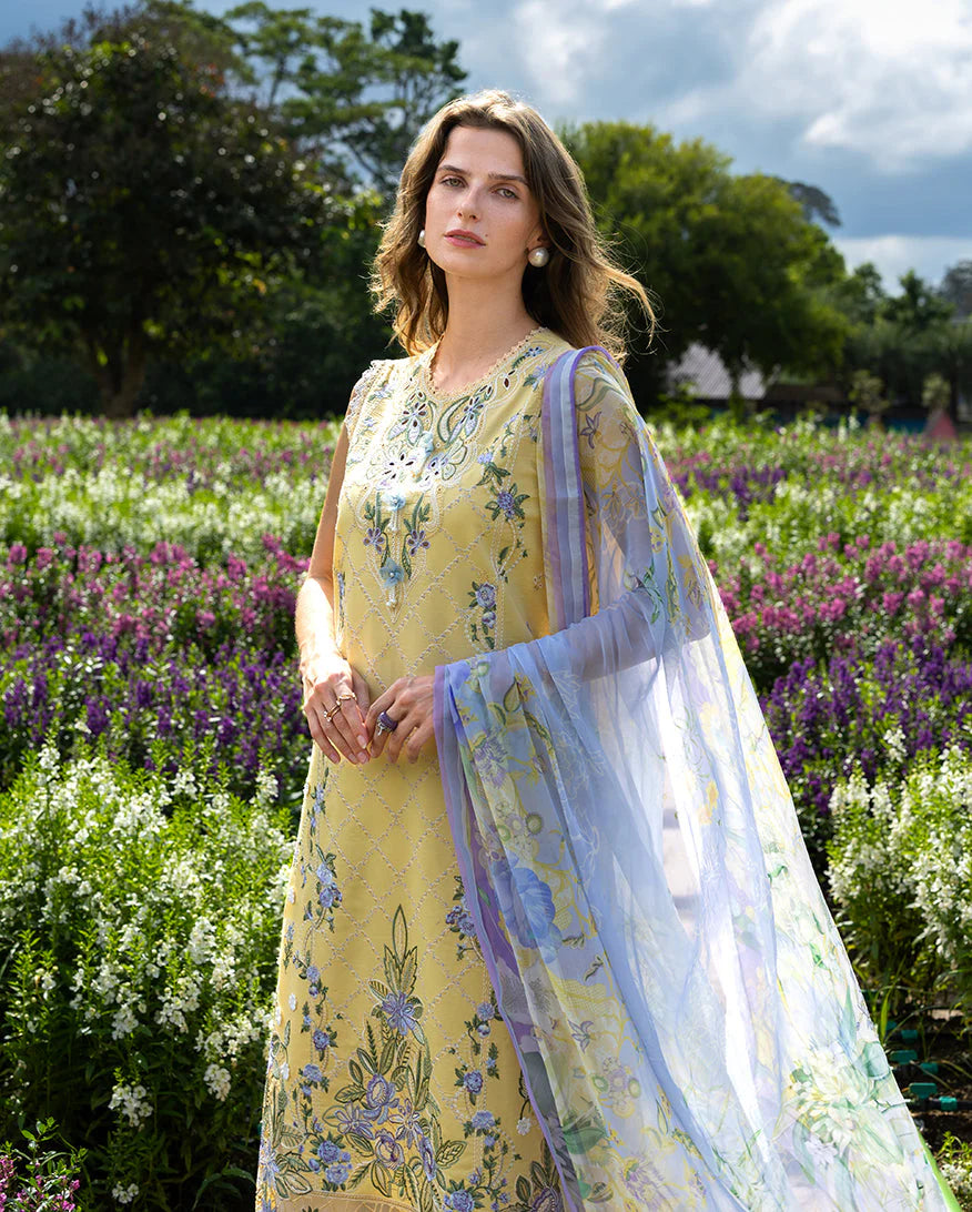The Secret Garden by Mushq | Hemline 2026 | SUNLIT MEADOW