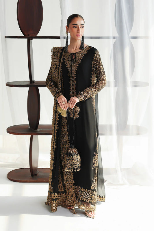 Qalamkar Chiffon Collection 2026 | QCC-06 WALIYA