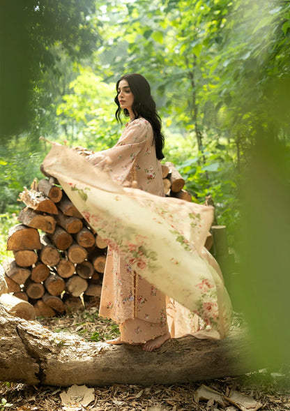 Elaf Wilderness Pashmina Shawl Edit 2026 | EWR-4A PRIMORSE
