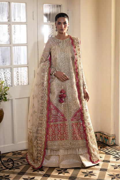 Afrozeh Dastangoi Formal Collection 2025 | SILKDAWN